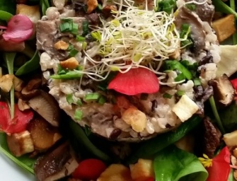 Riz, champignons, panais, noisettes