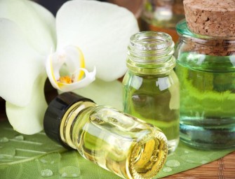 Combattre efficacement les moustiques avec les huiles essentielles ?