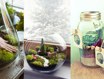 DIY : Réaliser son terrarium