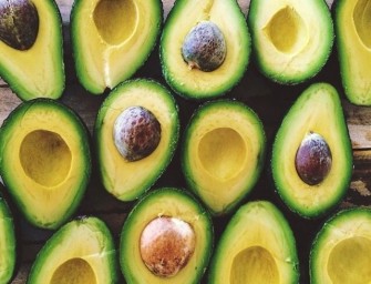 Pourquoi manger de l’avocat tous les jours ?