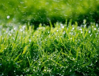 Comment arroser votre pelouse ?