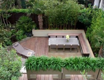 Du bambou dans votre jardin !