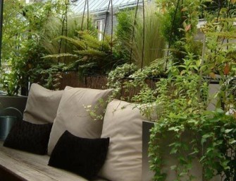 Comment entretenir un jardin sur balcon ?