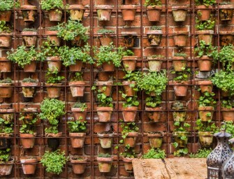 Le jardin vertical, une alternative au manque d’espace