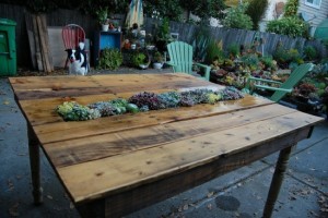table-design-interessant-jardin-palettes