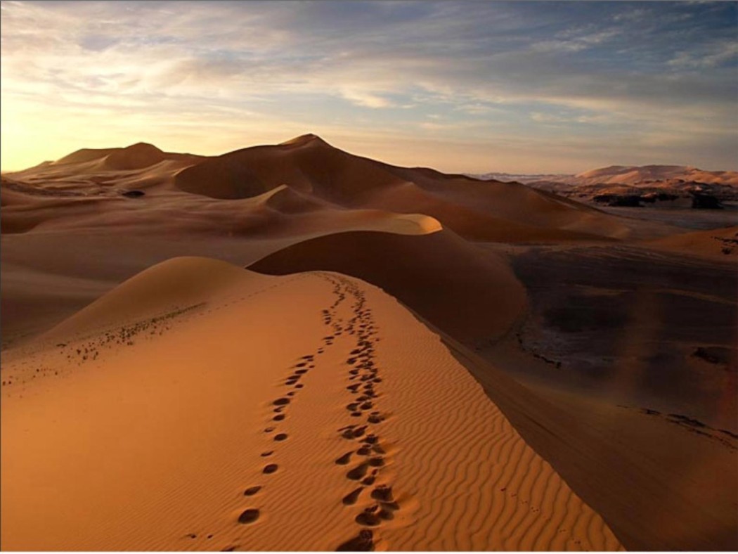 Erfoud-dune sahara