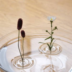 vase-Ripple-plantes-flottent-verticalement