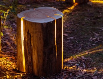 Des lampes naturelles en bois craquelé