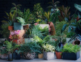 Les tableaux de verdure de Salmiana