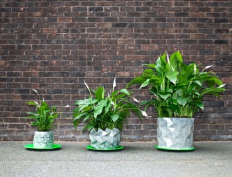 Les pots Growth imaginés par les frères Bike et Begum Ayaskan