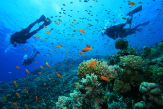 Immersion sous-marine : Là où le temps et l’espace n’existent pas
