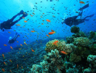 Immersion sous-marine : Là où le temps et l’espace n’existent pas