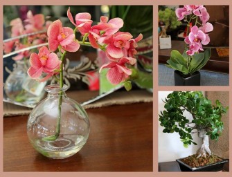 Des plantes décoratives artificielles pour égayer votre maison