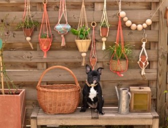 Comment réaliser un macramé : Ces porte-plantes bohèmes !
