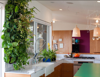 Un jardin ou un potager vertical à l&rsquo;intérieur ou à l&rsquo;extérieur