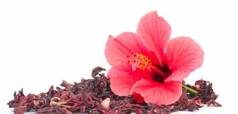Toutes les vertus de la fleur d’hibiscus