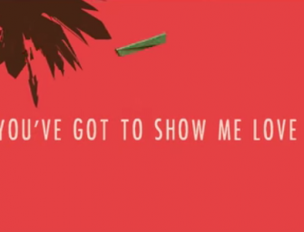 Sam Feldt – Show Me Love (ft. Kimberly Anne)