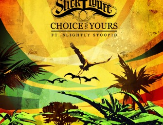 Stick Figure – « Choice is Yours » (feat. Slightly Stoopid)