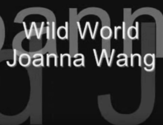 Wild World – Joanna Wang lyrics