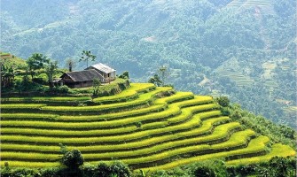 Le Vietnam, une destination à prévoir une fois dans sa vie