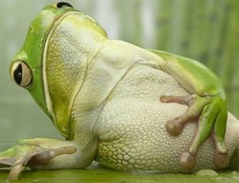 Les astuces pour se remettre après un bon repas