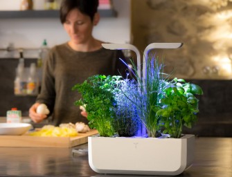Le véritable potager à installer dans votre cuisine