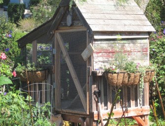 Un poulailler design dans votre jardin