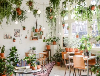 Les erreurs à éviter dans l&rsquo;entretien des plantes d&rsquo;intérieur