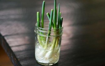 10 légumes à faire repousser facilement à la maison