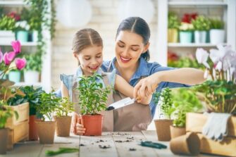 Le jardinage : Les bienfaits pour le corps et l’esprit