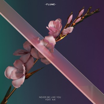 Flume – Never Be Like You