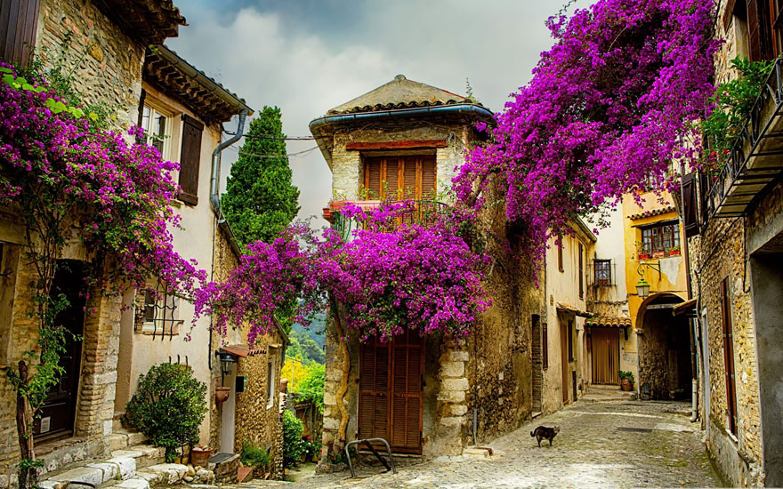 #1 Small Town In Provence, France