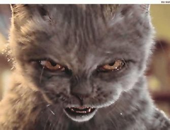 Les haters : Qui sont ces individus ?