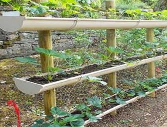 Un potager dans votre jardin