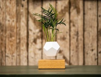 LYFE : Des plantes qui défient la gravité