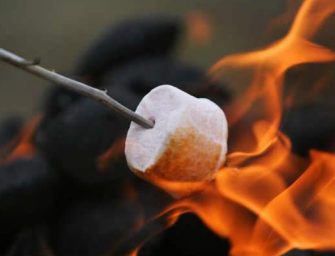 Marshmallows faits maison grillés