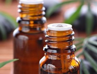 Les vertus de l&rsquo;huile de théier