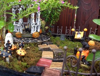 Kokone : Un jardin miniature pour votre bureau