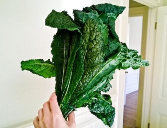 Le kale, un chou aux multiples vertus
