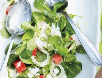 Salade de poulet à la pastèque, feta et concombre