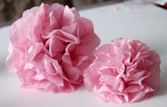 DIY : Des fleurs en papier de soie