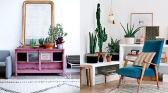 Les plantes grasses pour décorer votre intérieur