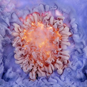 Flowers and Swirls,  Les fleurs liquides de Mark Mawson