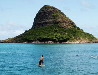 Landon McNamara – « Don&rsquo;t Go Away »