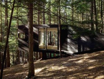 Half-Tree House, cabane dans la forêt du Comté de Sullivan, New York par Jacobschang