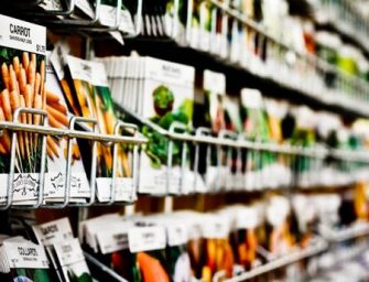 Jardinage : Comment choisir des graines de qualité ?