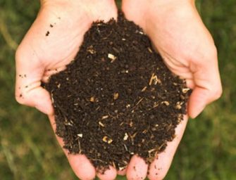 Le compostage, c&rsquo;est facile !