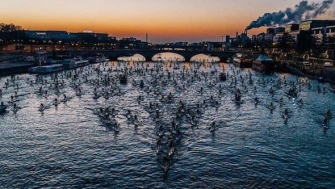 700 Stand Up Paddles sur la Seine, des images à voir