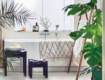 Les plantes tropicales adaptées à votre salle de bain