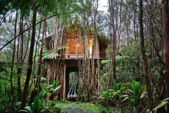 Dreamy Tropical Tree House : Une cabane nichée en pleine forêt à Hawaii